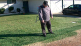 100ml Grass Paint